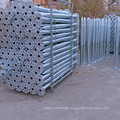 Fence Anchor Foundation Steel Solar Pile Ground Screw